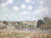 Alfred Sisley Ang oil